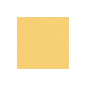 ORAFOL caurspīdīgi dzeltena līmplēve ORALITE® 5061 Transparent Film, glancēta (1220mm) [cena par m2!]