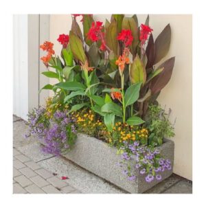 Betona puķu pods (taisnstūrveida), 1300x400x310mm