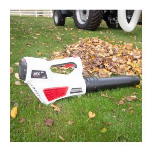 Lapu pūtējs ar akumulatoru 36V [KF]