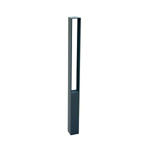 ORNA 40731